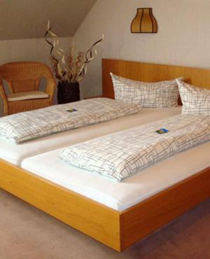 Hotel Restaurant Litz Bietigheim-Bissingen Pokój zdjęcie